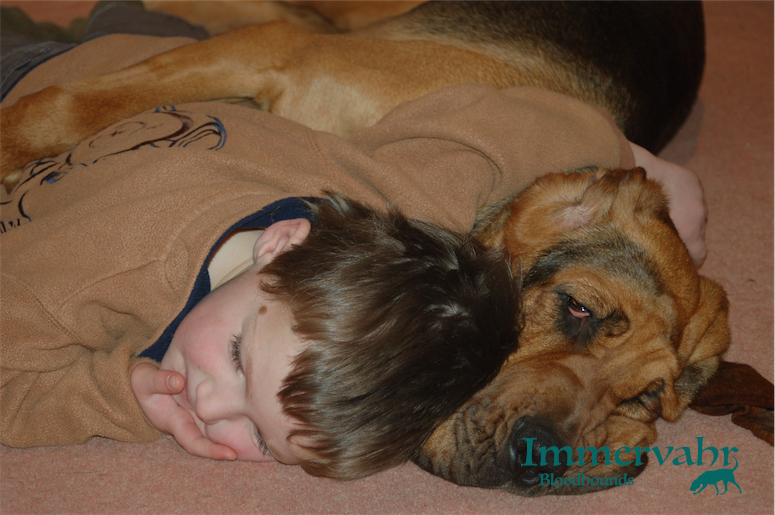 child cuddling bloodhound